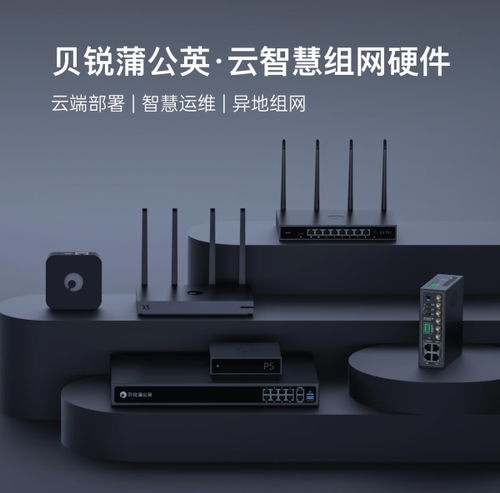 貝銳蒲公英異地組網路由器銷量再奪第一，領跑中國市場